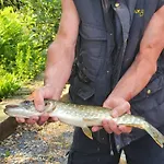La Ferme De La Semois Au Bord De L'eau 7 Сasa de vacaciones Laviot