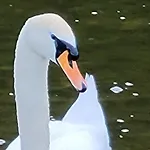 La Ferme De La Semois Au Bord De L'eau 7 * Laviot
