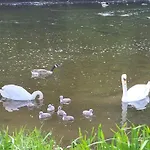 Casa de Férias La Ferme De La Semois Au Bord De L'eau 7 Laviot