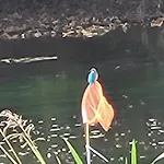 La Ferme De La Semois Au Bord De L'eau 7 Casa de Férias *