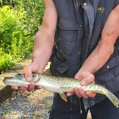 La Ferme De La Semois Au Bord De L'eau 7 Vakantiehuis Laviot