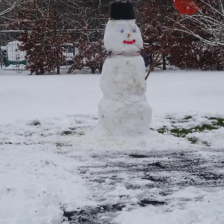 La Ferme De La Semois Au Bord De L'eau 7 Laviot