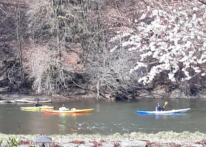 Vakantiehuis La Ferme De La Semois Au Bord De L'eau 7 Laviot