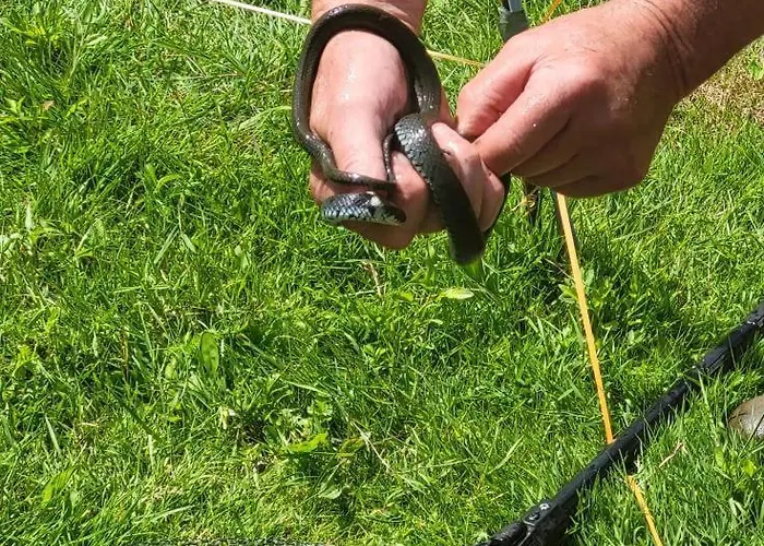 La Ferme De La Semois Au Bord De L'eau 7 Holiday home Laviot