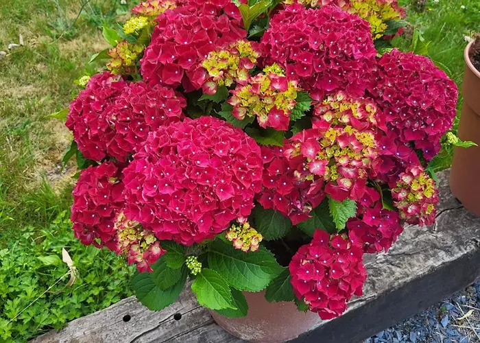 La Ferme De La Semois Au Bord De L'eau 7 Holiday home *