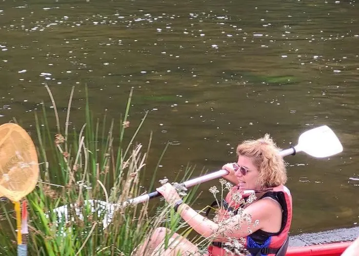 La Ferme De La Semois Au Bord De L'eau 7 Holiday home Laviot