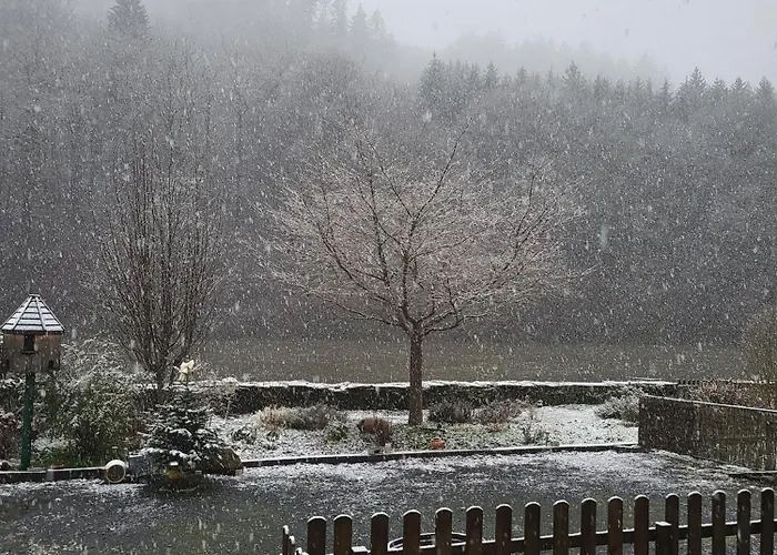 La Ferme De La Semois Au Bord De L'eau 7 Vakantiehuis Laviot