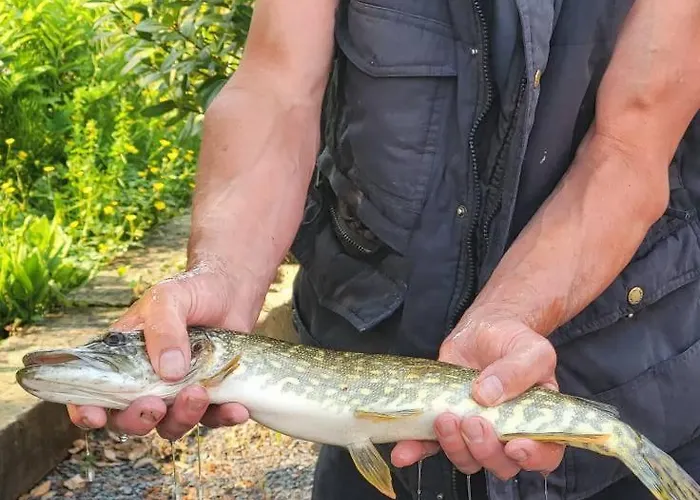 La Ferme De La Semois Au Bord De L'eau 7 Vakantiehuis Laviot