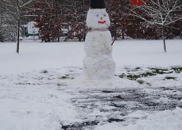 La Ferme De La Semois Au Bord De L'eau 7 Laviot