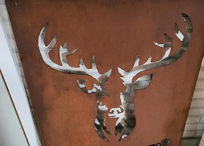 La Ferme De La Semois Au Bord De L'eau 7 Laviot