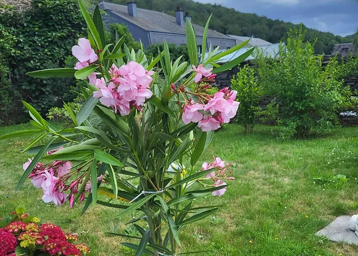 La Ferme De La Semois Au Bord De L'eau 7 Vakantiehuis Laviot