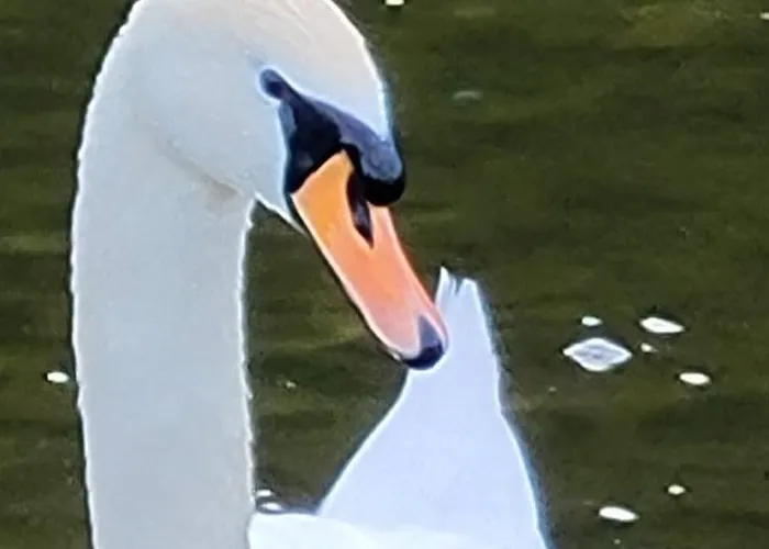 La Ferme De La Semois Au Bord De L'eau 7 * Laviot