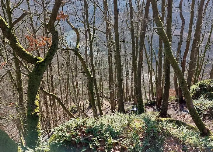 Vakantiehuis La Ferme De La Semois Au Bord De L'eau 7 *