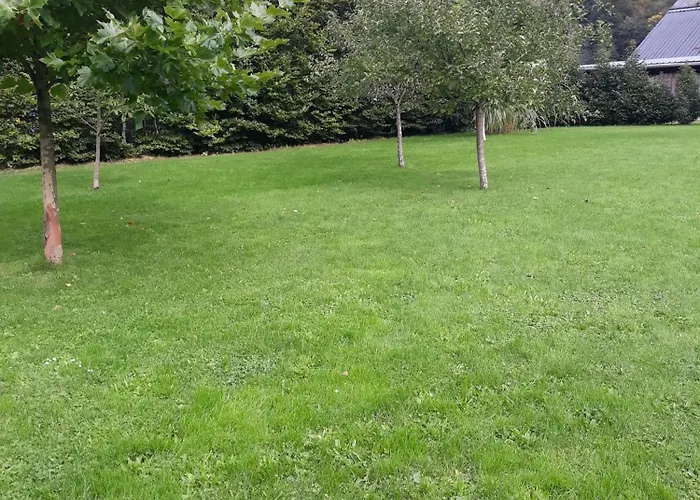 La Ferme De La Semois Au Bord De L'eau 7 Laviot