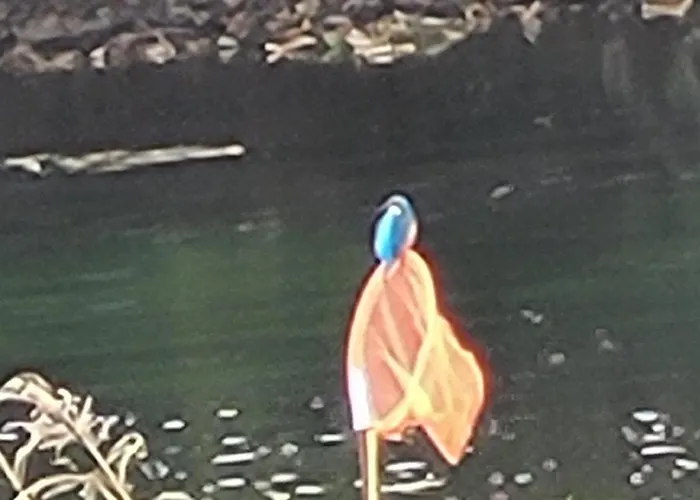 La Ferme De La Semois Au Bord De L'eau 7 Vakantiehuis *